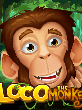 Loco the Monkey